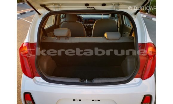 Buy Import Kia Picanto White Car in Import - Dubai in Belait Buy Import Kia Picanto White Car in Import - Dubai in Belait