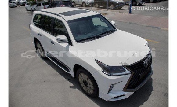 Buy Import Lexus LX White Car in Import - Dubai in Belait Buy Import Lexus LX White Car in Import - Dubai in Belait