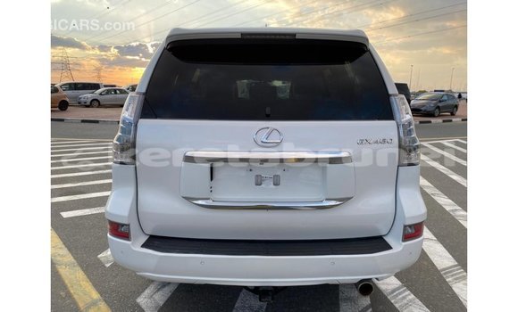 Buy Import Lexus GX White Car in Import - Dubai in Belait Buy Import Lexus GX White Car in Import - Dubai in Belait