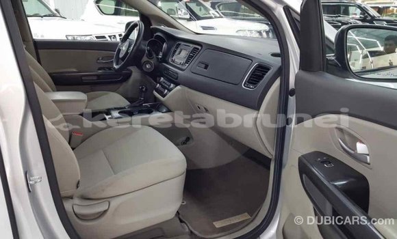 Buy Import Kia Carnival Other Car in Import - Dubai in Belait Buy Import Kia Carnival Other Car in Import - Dubai in Belait