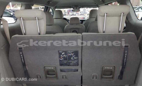 Buy Import Kia Carnival Other Car in Import - Dubai in Belait