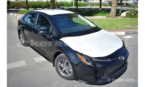 Buy Import Toyota Corolla Black Car in Import - Dubai in Belait Buy Import Toyota Corolla Black Car in Import - Dubai in Belait