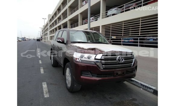 Buy Import Toyota Land Cruiser Brown Car in Import - Dubai in Belait Buy Import Toyota Land Cruiser Brown Car in Import - Dubai in Belait