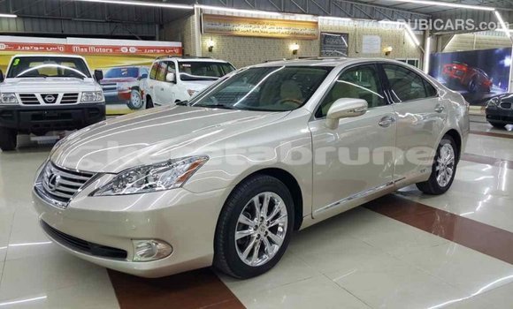 Buy Import Lexus ES Other Car in Import - Dubai in Belait Buy Import Lexus ES Other Car in Import - Dubai in Belait