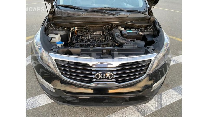 Big with watermark kia sportage belait import dubai 2378