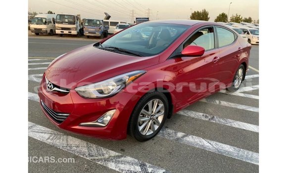 Buy Import Hyundai Elantra Red Car in Import - Dubai in Belait Buy Import Hyundai Elantra Red Car in Import - Dubai in Belait