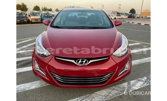 Buy Import Hyundai Elantra Red Car in Import - Dubai in Belait Buy Import Hyundai Elantra Red Car in Import - Dubai in Belait