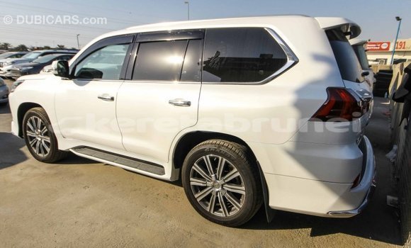 Buy Import Lexus LX White Car in Import - Dubai in Belait Buy Import Lexus LX White Car in Import - Dubai in Belait