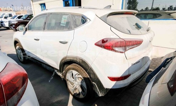 Buy Import Hyundai Tucson White Car in Import - Dubai in Belait Buy Import Hyundai Tucson White Car in Import - Dubai in Belait