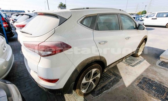 Buy Import Hyundai Tucson White Car in Import - Dubai in Belait Buy Import Hyundai Tucson White Car in Import - Dubai in Belait