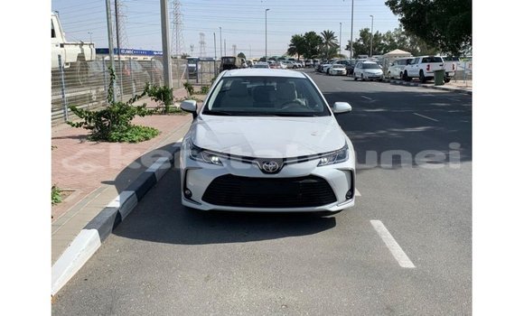 Buy Import Toyota Corolla White Car in Import - Dubai in Belait Buy Import Toyota Corolla White Car in Import - Dubai in Belait