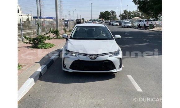 Buy Import Toyota Corolla White Car in Import - Dubai in Belait Buy Import Toyota Corolla White Car in Import - Dubai in Belait