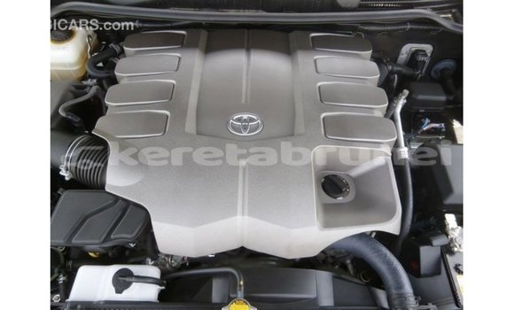 Buy Import Toyota Land Cruiser Black Car in Import - Dubai in Belait Buy Import Toyota Land Cruiser Black Car in Import - Dubai in Belait