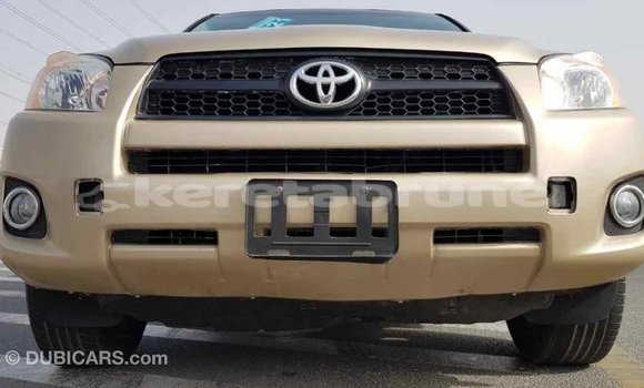 Buy Import Toyota RAV4 Other Car in Import - Dubai in Belait Buy Import Toyota RAV4 Other Car in Import - Dubai in Belait
