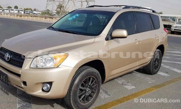 Buy Import Toyota RAV4 Other Car in Import - Dubai in Belait Buy Import Toyota RAV4 Other Car in Import - Dubai in Belait