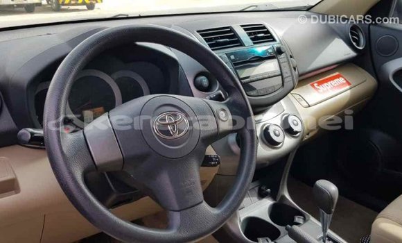 Buy Import Toyota RAV4 Other Car in Import - Dubai in Belait Buy Import Toyota RAV4 Other Car in Import - Dubai in Belait