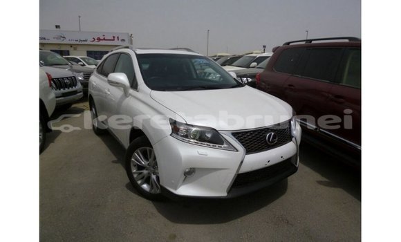 Buy Import Lexus RX 350 White Car in Import - Dubai in Belait Buy Import Lexus RX 350 White Car in Import - Dubai in Belait