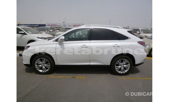 Buy Import Lexus RX 350 White Car in Import - Dubai in Belait Buy Import Lexus RX 350 White Car in Import - Dubai in Belait