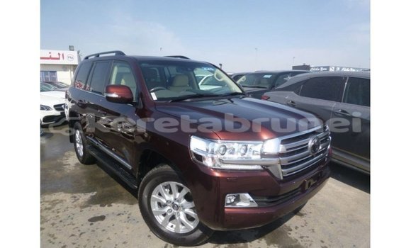 Buy Import Toyota Land Cruiser Brown Car in Import - Dubai in Belait Buy Import Toyota Land Cruiser Brown Car in Import - Dubai in Belait