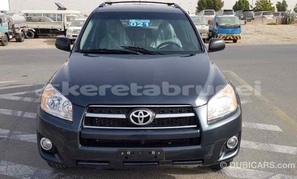 Buy Import Toyota RAV4 Green Car in Import - Dubai in Belait Buy Import Toyota RAV4 Green Car in Import - Dubai in Belait