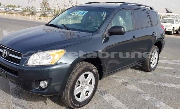 Buy Import Toyota RAV4 Green Car in Import - Dubai in Belait Buy Import Toyota RAV4 Green Car in Import - Dubai in Belait