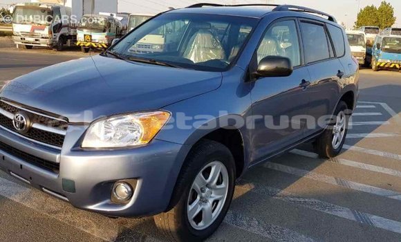 Buy Import Toyota RAV4 Blue Car in Import - Dubai in Belait Buy Import Toyota RAV4 Blue Car in Import - Dubai in Belait