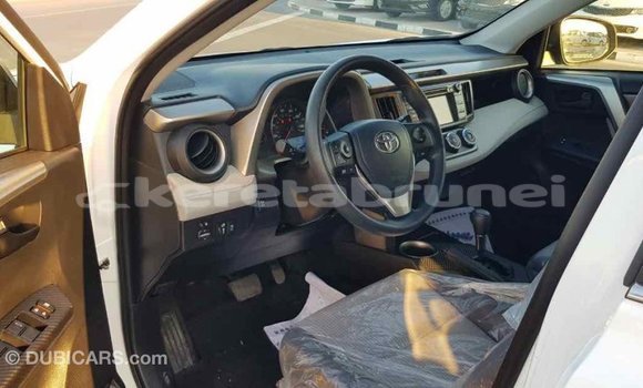 Buy Import Toyota RAV4 White Car in Import - Dubai in Belait Buy Import Toyota RAV4 White Car in Import - Dubai in Belait