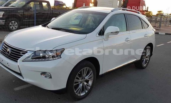 Buy Import Lexus RX 350 White Car in Import - Dubai in Belait Buy Import Lexus RX 350 White Car in Import - Dubai in Belait