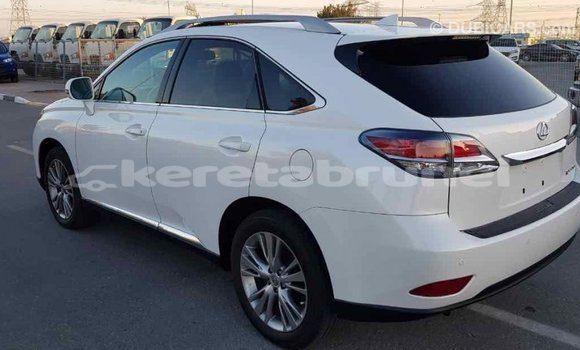 Buy Import Lexus RX 350 White Car in Import - Dubai in Belait Buy Import Lexus RX 350 White Car in Import - Dubai in Belait