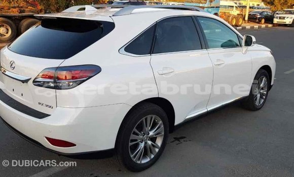 Buy Import Lexus RX 350 White Car in Import - Dubai in Belait Buy Import Lexus RX 350 White Car in Import - Dubai in Belait