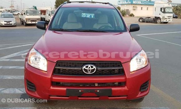 Buy Import Toyota RAV4 Red Car in Import - Dubai in Belait Buy Import Toyota RAV4 Red Car in Import - Dubai in Belait