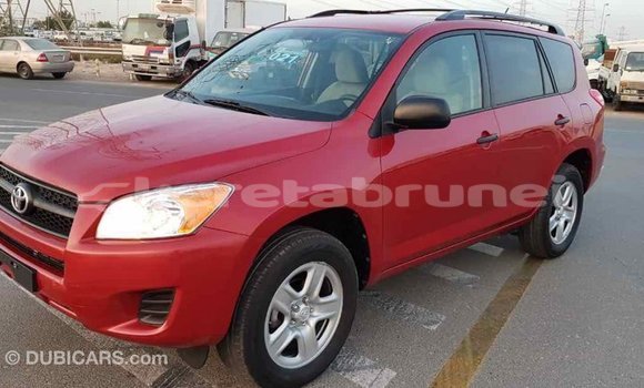 Buy Import Toyota RAV4 Red Car in Import - Dubai in Belait Buy Import Toyota RAV4 Red Car in Import - Dubai in Belait