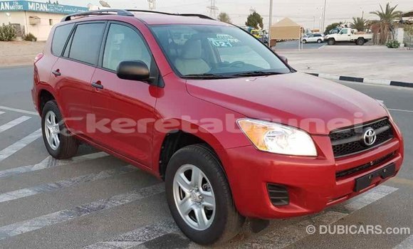 Buy Import Toyota RAV4 Red Car in Import - Dubai in Belait Buy Import Toyota RAV4 Red Car in Import - Dubai in Belait