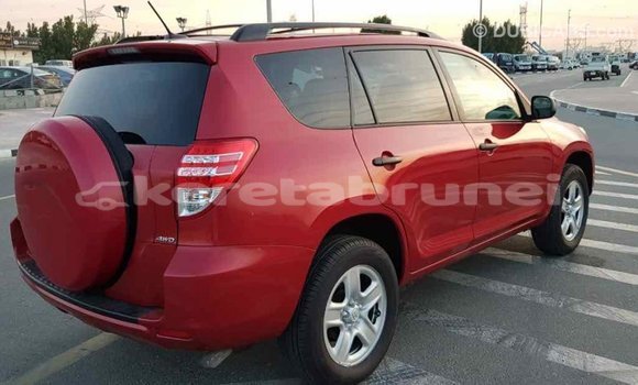 Buy Import Toyota RAV4 Red Car in Import - Dubai in Belait Buy Import Toyota RAV4 Red Car in Import - Dubai in Belait