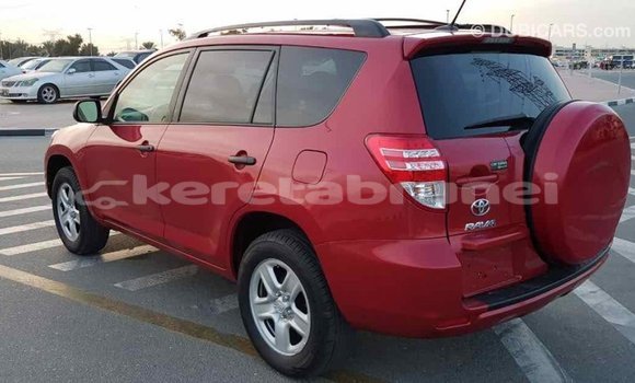 Buy Import Toyota RAV4 Red Car in Import - Dubai in Belait Buy Import Toyota RAV4 Red Car in Import - Dubai in Belait