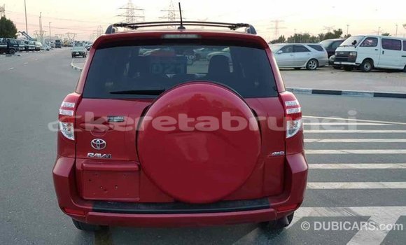 Buy Import Toyota RAV4 Red Car in Import - Dubai in Belait Buy Import Toyota RAV4 Red Car in Import - Dubai in Belait