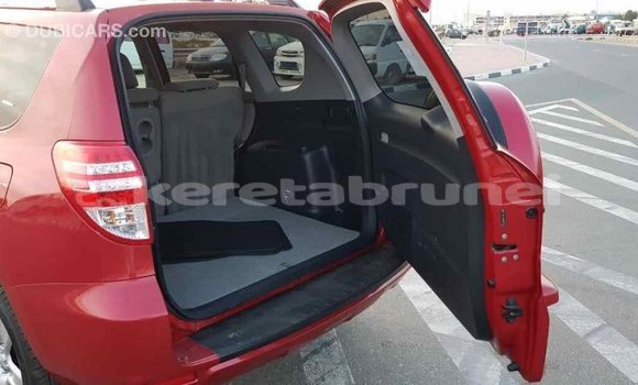 Buy Import Toyota RAV4 Red Car in Import - Dubai in Belait Buy Import Toyota RAV4 Red Car in Import - Dubai in Belait