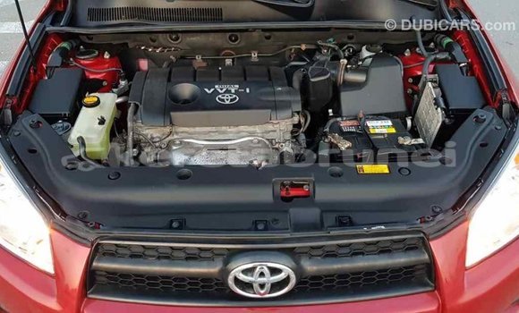 Buy Import Toyota RAV4 Red Car in Import - Dubai in Belait Buy Import Toyota RAV4 Red Car in Import - Dubai in Belait