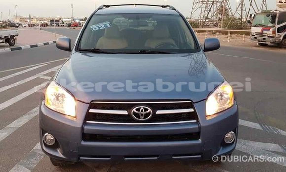 Buy Import Toyota RAV4 Blue Car in Import - Dubai in Belait Buy Import Toyota RAV4 Blue Car in Import - Dubai in Belait