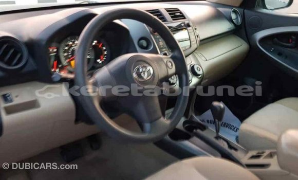 Buy Import Toyota RAV4 Blue Car in Import - Dubai in Belait Buy Import Toyota RAV4 Blue Car in Import - Dubai in Belait