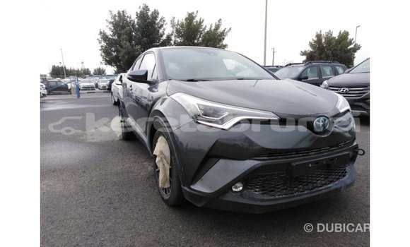 Buy Import Toyota C-HR Other Car in Import - Dubai in Belait Buy Import Toyota C-HR Other Car in Import - Dubai in Belait