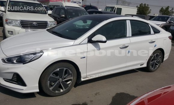 Buy Import Hyundai Sonata White Car in Import - Dubai in Belait Buy Import Hyundai Sonata White Car in Import - Dubai in Belait