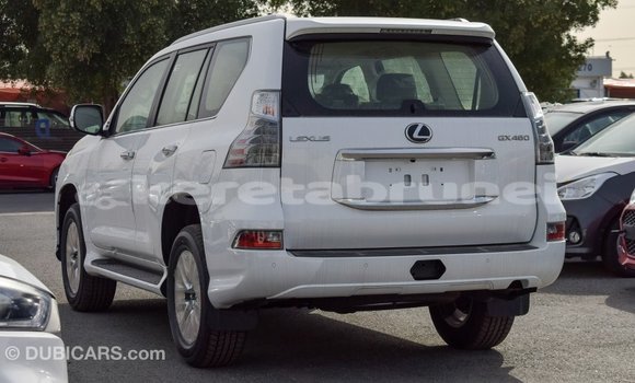 Buy Import Lexus GX White Car in Import - Dubai in Belait Buy Import Lexus GX White Car in Import - Dubai in Belait