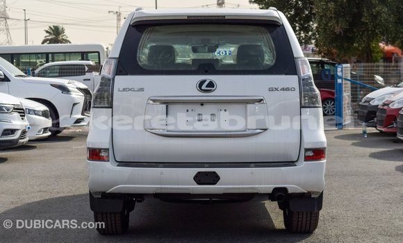 Buy Import Lexus GX White Car in Import - Dubai in Belait Buy Import Lexus GX White Car in Import - Dubai in Belait