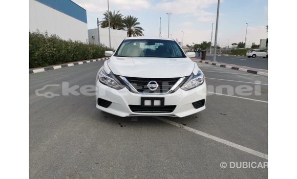 Buy Import Nissan Altima White Car in Import - Dubai in Belait Buy Import Nissan Altima White Car in Import - Dubai in Belait