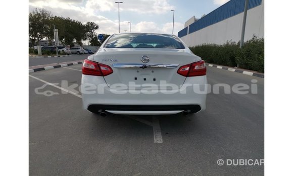 Buy Import Nissan Altima White Car in Import - Dubai in Belait Buy Import Nissan Altima White Car in Import - Dubai in Belait