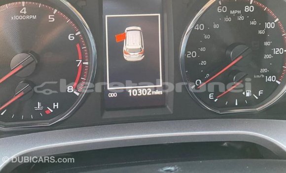 Buy Import Toyota HiAce Other Truck in Import - Dubai in Belait Buy Import Toyota HiAce Other Truck in Import - Dubai in Belait