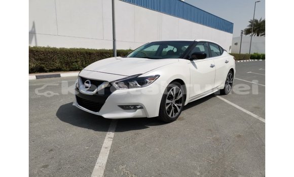 Buy Import Nissan Maxima White Car in Import - Dubai in Belait Buy Import Nissan Maxima White Car in Import - Dubai in Belait