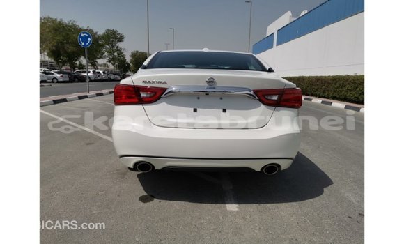 Buy Import Nissan Maxima White Car in Import - Dubai in Belait Buy Import Nissan Maxima White Car in Import - Dubai in Belait