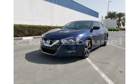 Buy Import Nissan Maxima Blue Car in Import - Dubai in Belait Buy Import Nissan Maxima Blue Car in Import - Dubai in Belait